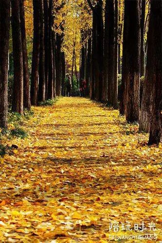 景美又不累的旅游,国庆带娃去这里景美人少