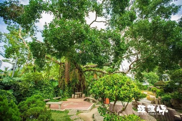 去厦门旅游怎么玩最好,去厦门该怎么玩