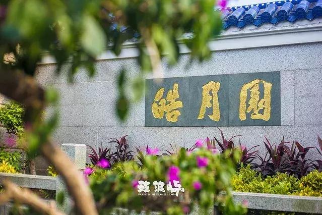 去厦门旅游怎么玩最好,去厦门该怎么玩