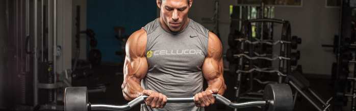 二头肌正确刺激方法,怎么给肱二头肌上强度