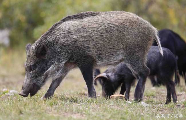 让你快速赚钱的五个生意,让你赚钱发财的12个方法