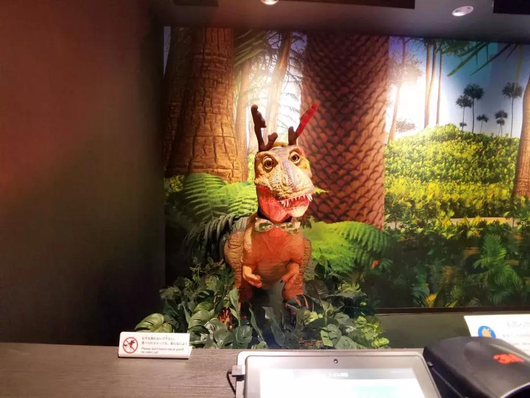 中北部升龙道深度游攻略,日本龙岛旅游攻略