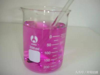 种植蔬菜有虫怎么办,种植蔬菜存在的问题