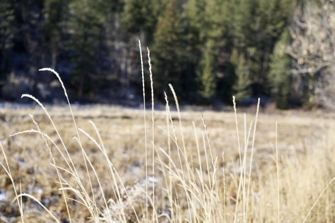 科罗拉多州到洛杉矶,科罗拉多州五月自驾