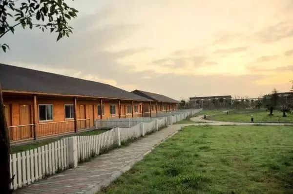 下辈子我只想做一只猪,下辈子我只想做一个俗人