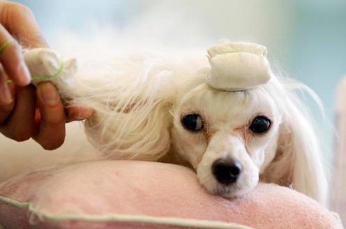 小投资适合年轻人新手干的创业,在家做投资500左右的加工创业项目