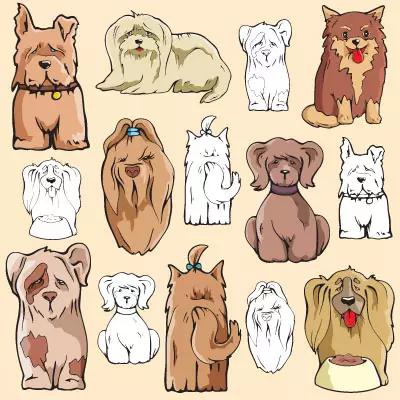 没能力的时候真的不要养狗,因为害怕失去你所以失态了