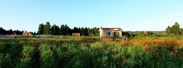 辽源旅游特产推荐,辽源有哪些旅游景点介绍图片