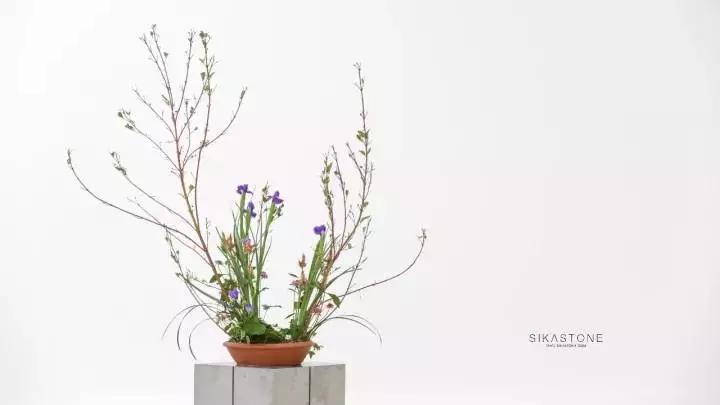 开花店需要准备什么,开一个花店需要准备哪些