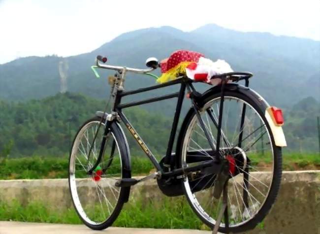 妈妈的自行车朗诵,妈妈的自行车视频