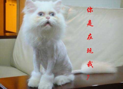 ugg最新现状,ugg黑得最惨的一次