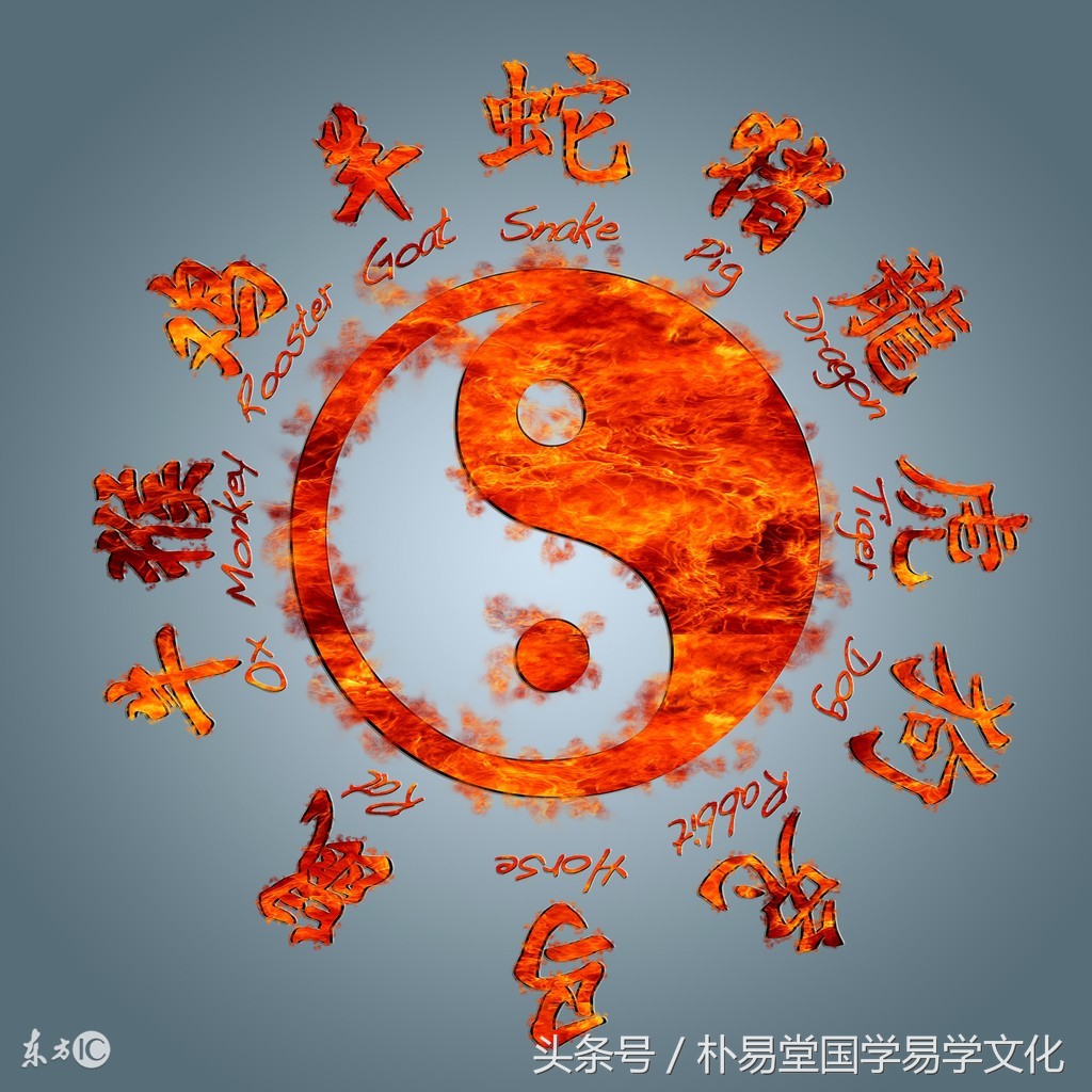 二十八星宿与十二生肖对应关系图,二十八星宿与五行对应的生肖