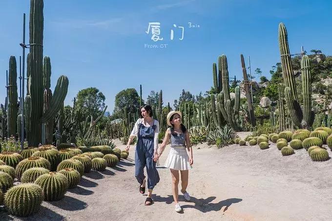 一起去厦门旅游攻略,旅游团厦门看海攻略