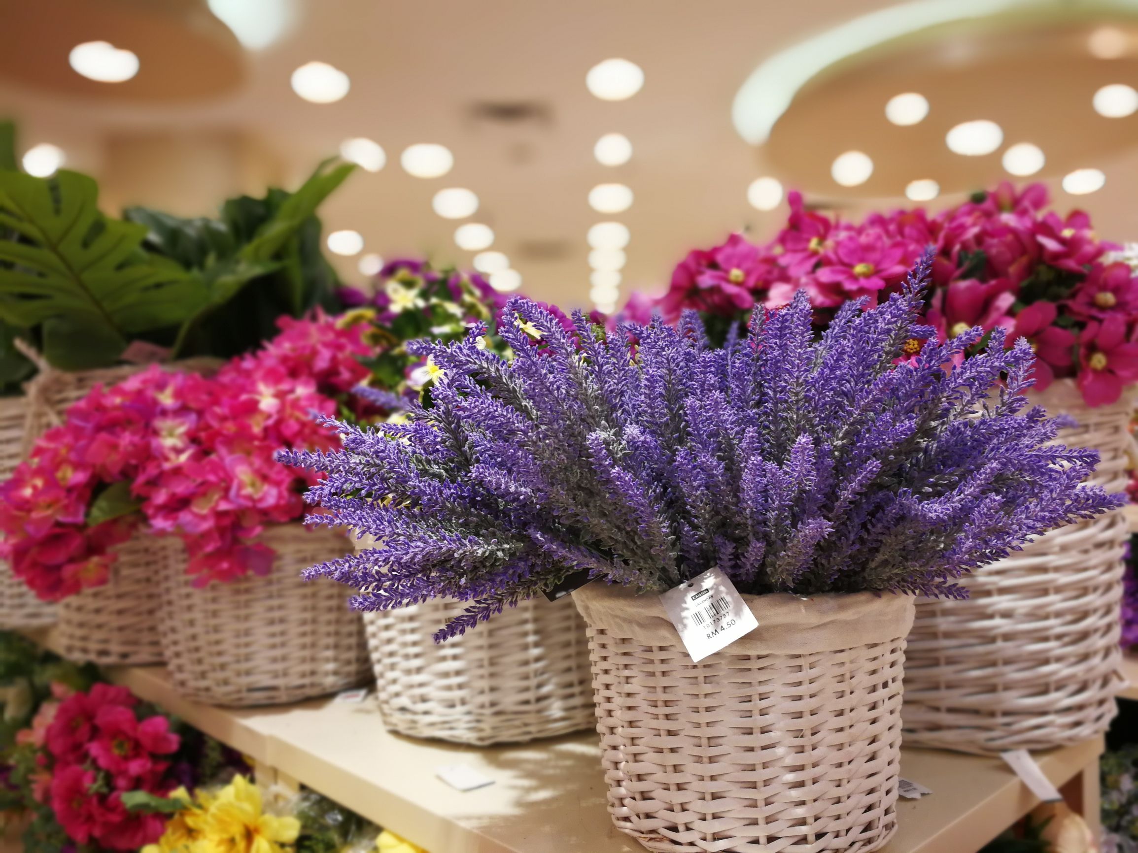 沙巴自由行超详细攻略,第一次去沙巴订的酒店怎么样