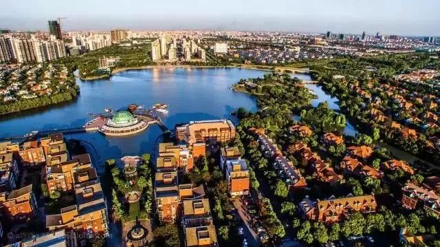 下辈子我只想做一只猪,下辈子我只想做一个俗人