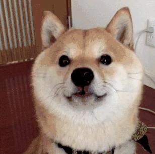 千万不要和人做朋友,千万别和负债人做朋友