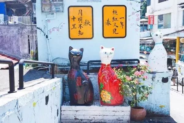 一起去厦门旅游攻略,旅游团厦门看海攻略