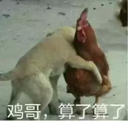 正宗东北铁锅炖鸡做法,东北铁锅炖鸡块最正宗的做法