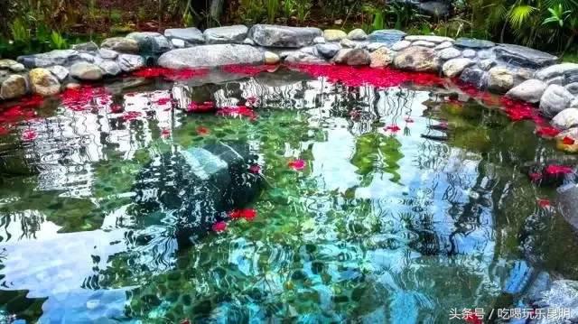 这两天德宏拽伤了，和全世界对话都是：我20度！