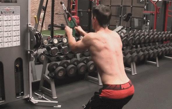 5个高效增加手臂围度的训练动作,臂围不到40不能赤膊训练图片