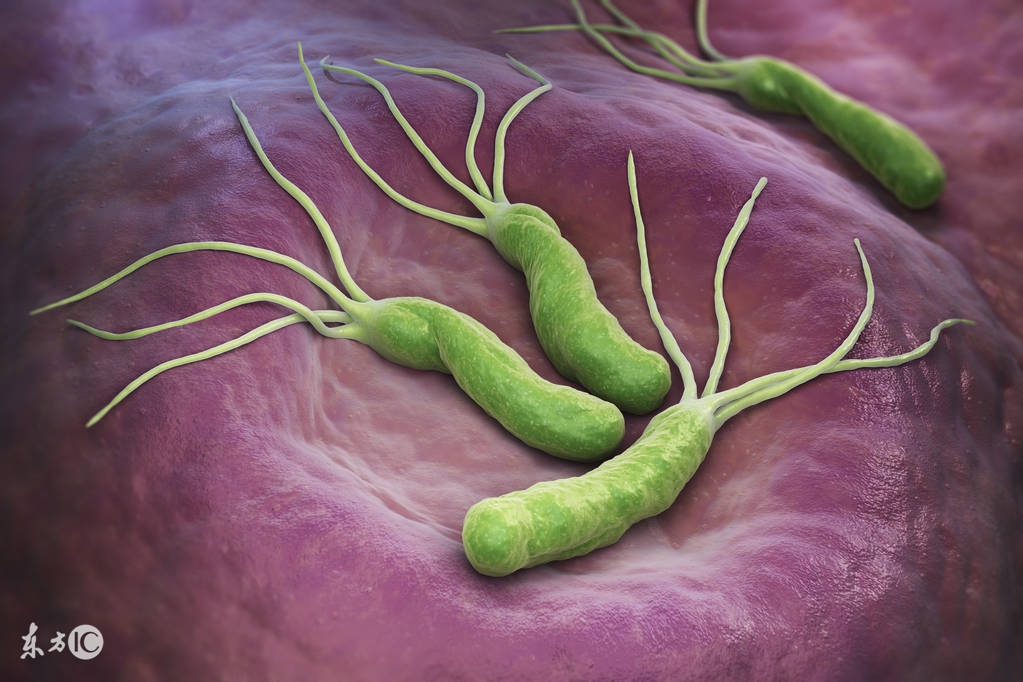 牛栏进口奶粉排行十大品牌2019,2019年进口奶粉有哪些出问题了