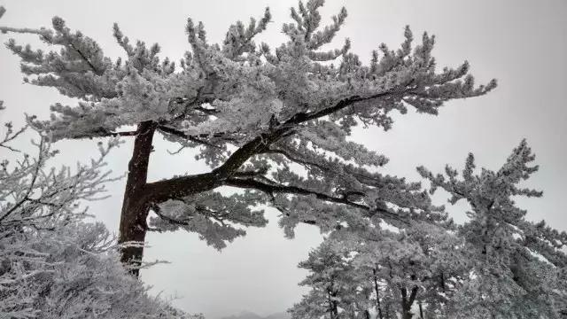 鍐父榛勫北濂借繕鏄崕灞卞ソ,鍐父鍗庡北鏀荤暐