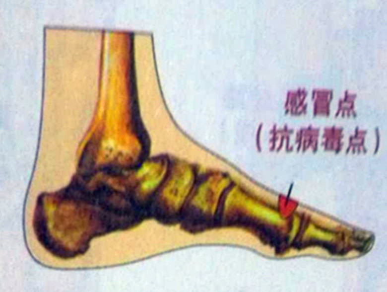 发烧引起的扁桃体发炎成人,儿童扁桃体发炎反复发烧怎么办