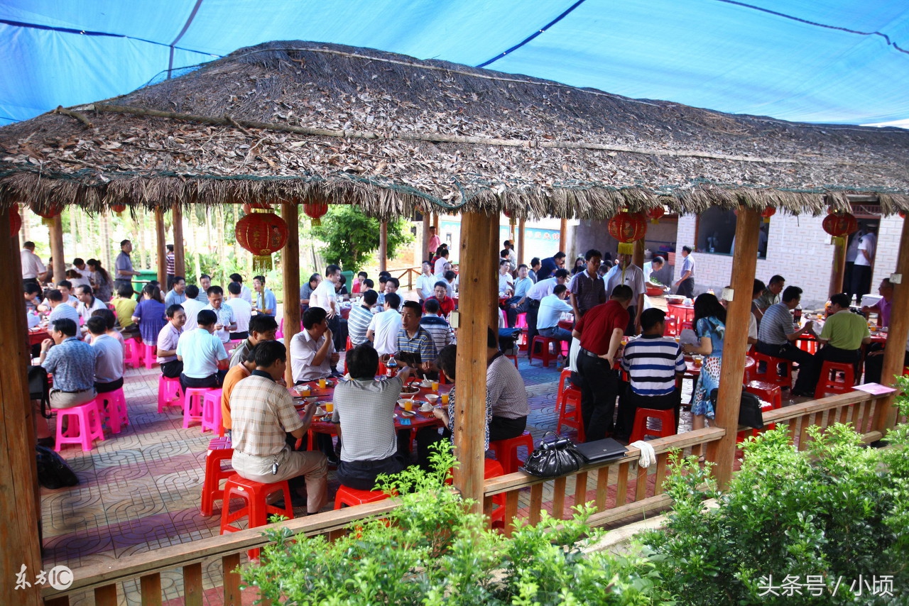 农村创业点子没钱怎样创业致富,农村女人创业开店赚钱