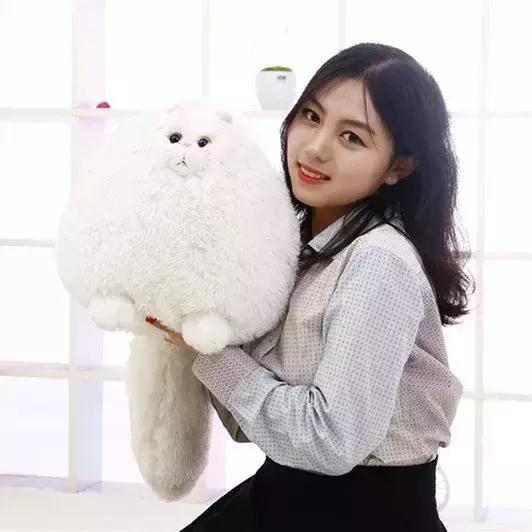 陶瓷摆件猫 (瓷摆件猫)