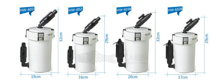 新手养草缸鱼,草缸新手入门