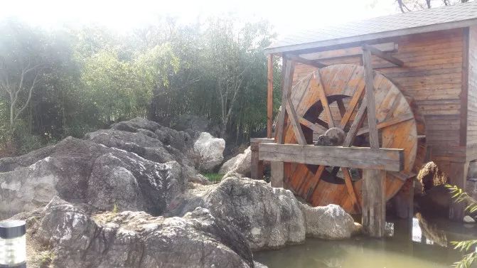 亲子推荐│蝶梦山丘—让蝶入梦、与蝶共舞