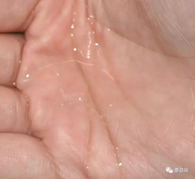 口碑最好的10种高级护肤水,雅诗兰黛和海蓝之谜哪个护肤水好