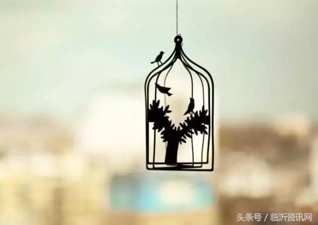 早衰的人都有哪些坏习惯,早衰的9个信号