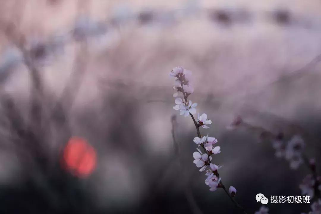 摄影构图技巧和细节入门,摄影基础知识入门构图书籍推荐