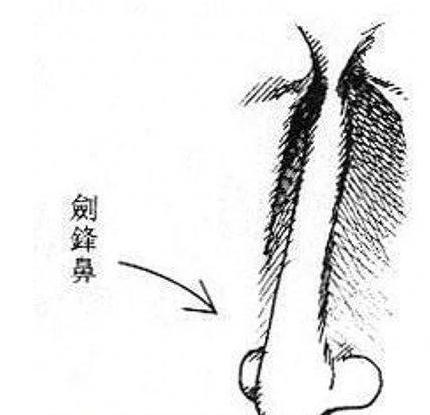 手相的相法,手相教程姻缘