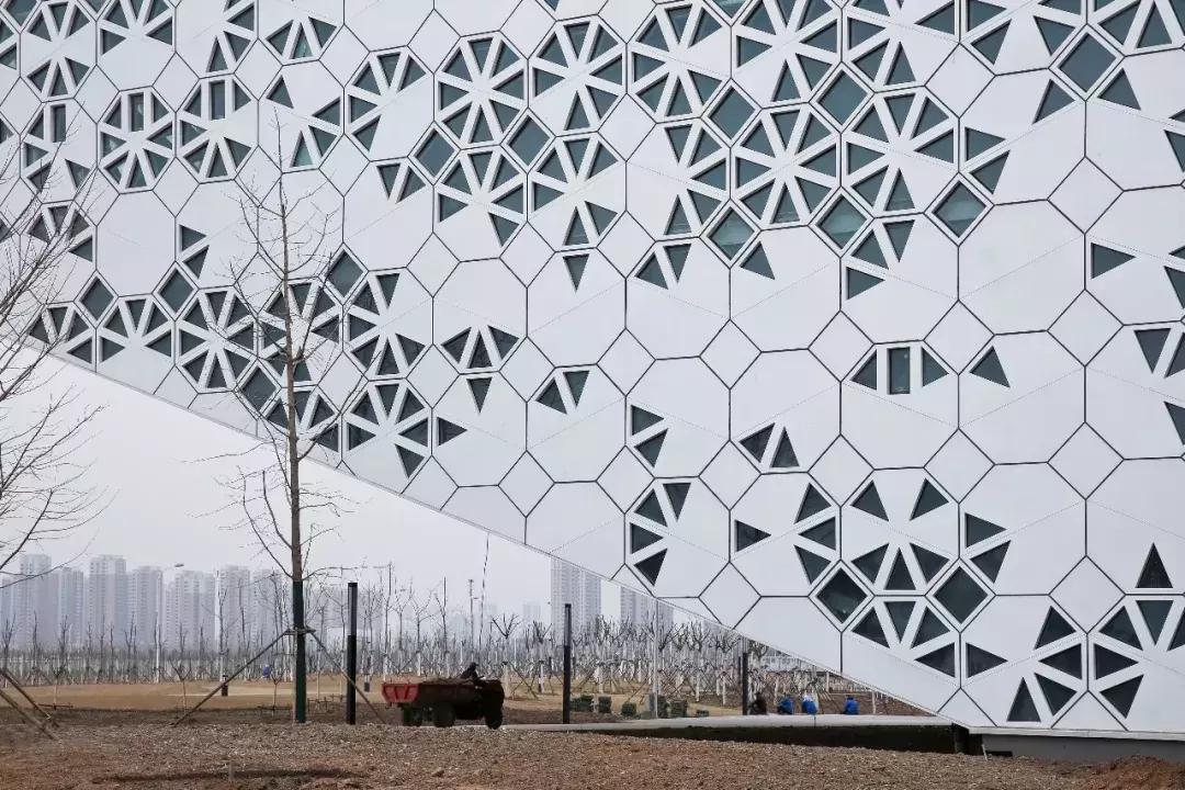 南开青少年活动中心,南开大学津南校区学生中心