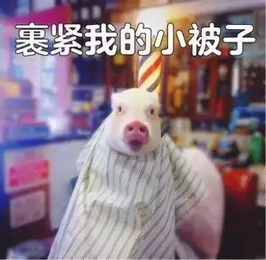 美妆推荐平价又好用的隔离霜,妆前必备的隔离霜美白保湿不浮粉