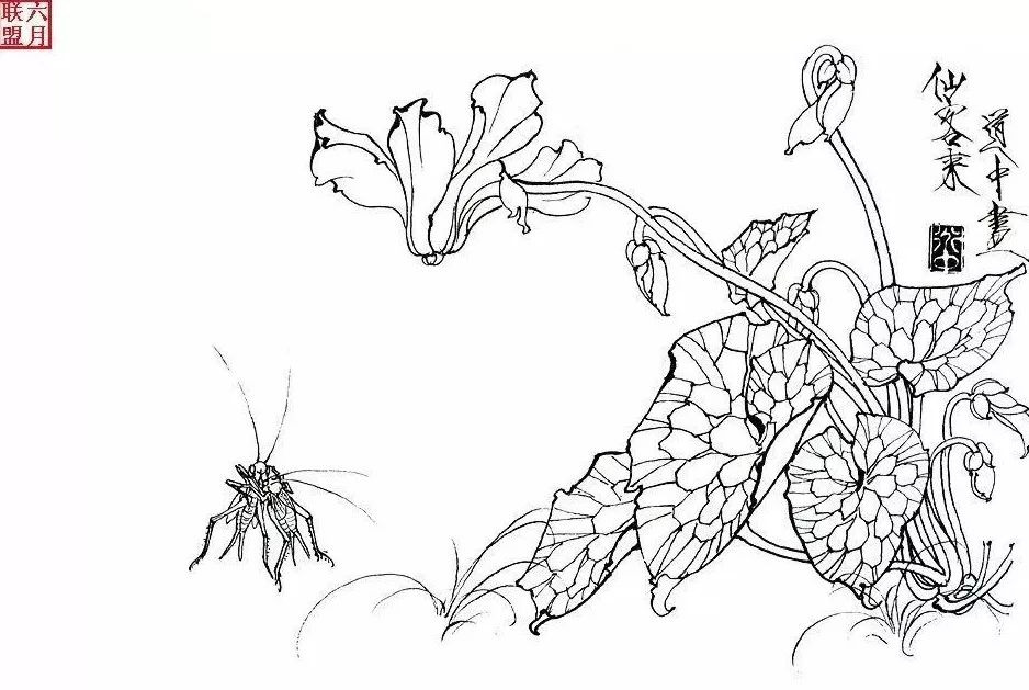 白描花卉技法基础入门,白描花卉简单入门