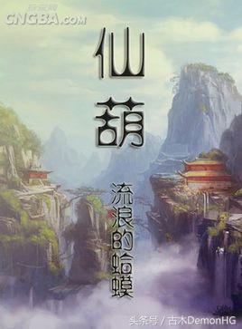 被人追捧的小说,被无数读者奉为神作小说