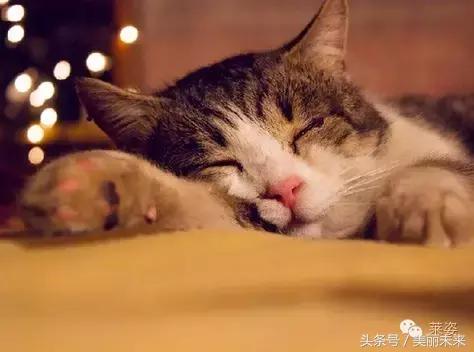 最简单有效的护肤步骤,这才是真正的护肤秘籍