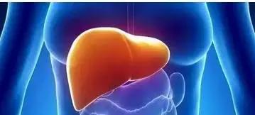 肝跟心脏不好拍打一个地方,肝脏不好拍打什么地方