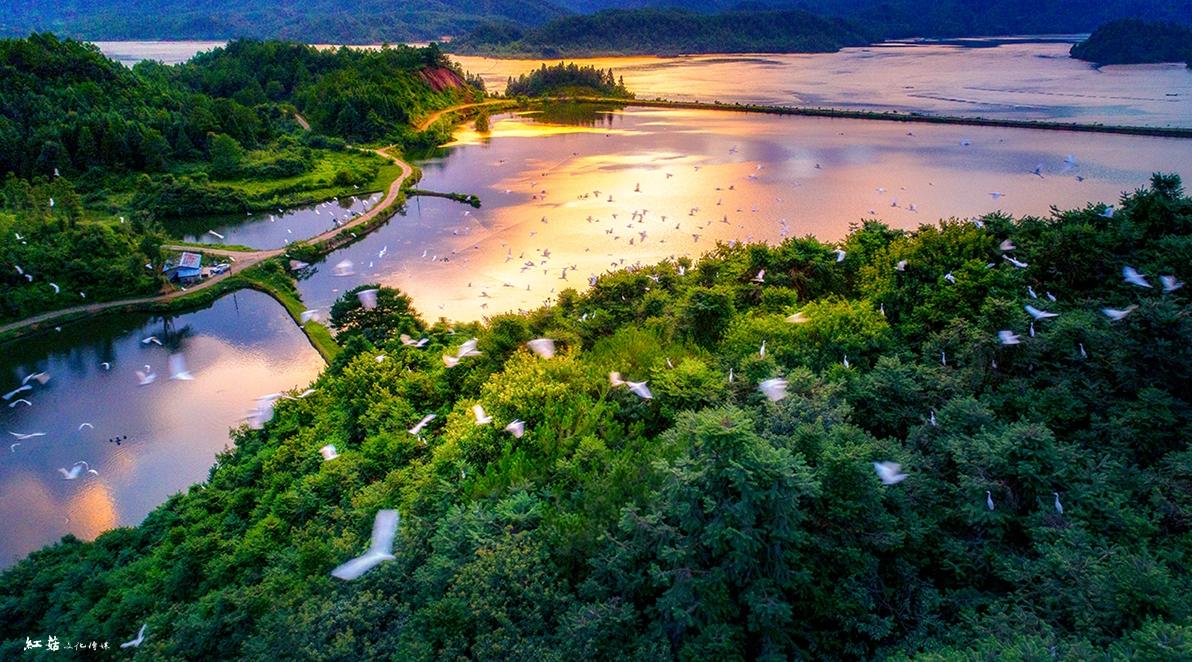 福建旅游界的一股清流，你是“佛系旅游”者吗？