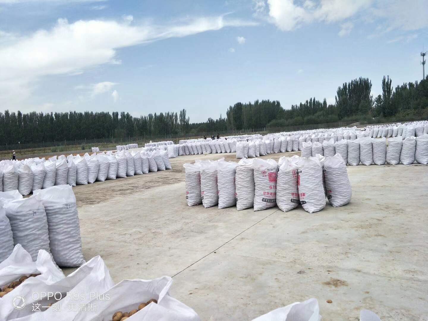 农村土特产王姐,农村盖房王姐