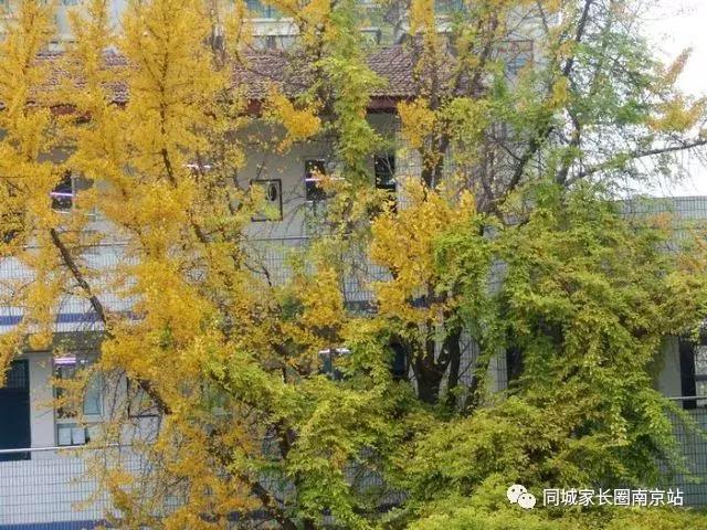 郑外好还是秦外好,秦外郑外到底谁更胜