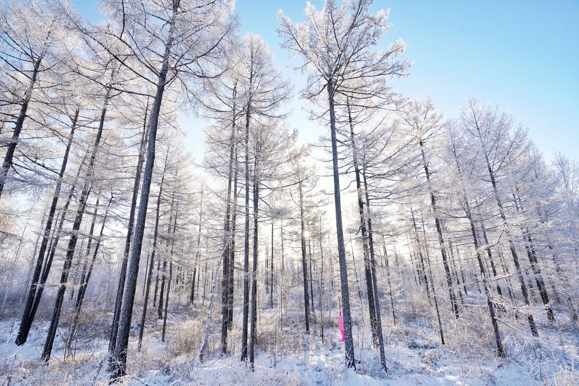 漠河寻北之旅邂逅冰雪奇缘,漠河冰雪深度游
