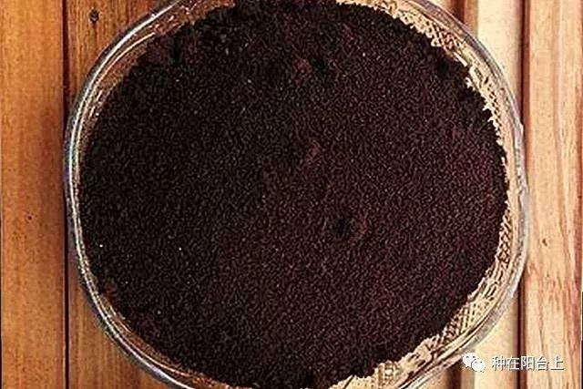 花花草草生虫用什么药更好,阳台花草长虫怎么处理