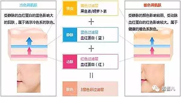 气垫粉底液粉膏哪个好上妆,气垫bb霜和粉底液哪个比较好用