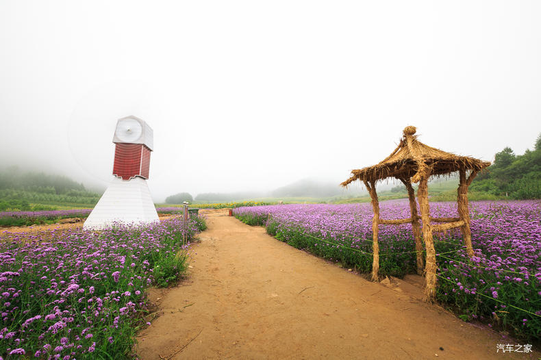 家乡之美美篇,家乡之美原唱完整版