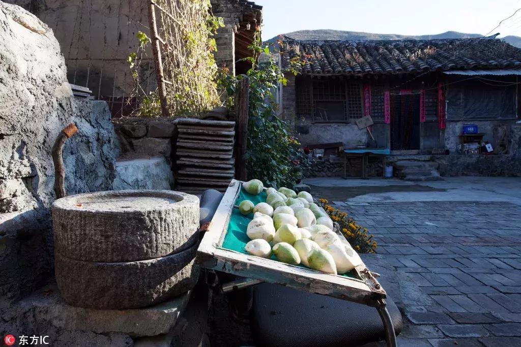 年底好消息来袭！大北京这些东西统统免费！还有精彩的活动等着你，不知道就亏大了！