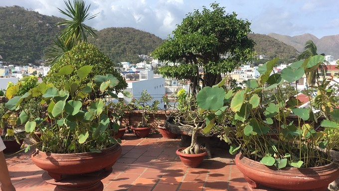 一个人越南攻略,一个人越南自驾游纪录片